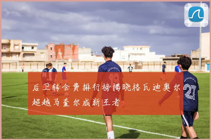 后卫转会费排行榜揭晓格瓦迪奥尔超越马奎尔成新王者